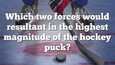 Which two forces would resultant in the highest magnitude of the hockey puck?