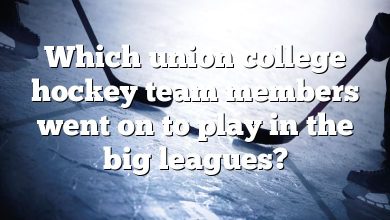 Which union college hockey team members went on to play in the big leagues?