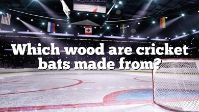 Which wood are cricket bats made from?