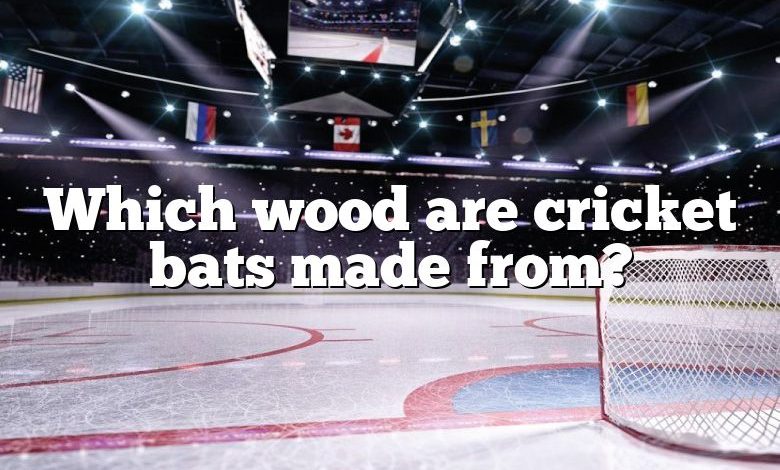 Which wood are cricket bats made from?