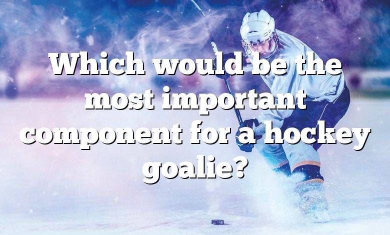 Which would be the most important component for a hockey goalie?