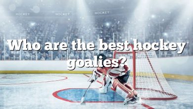 Who are the best hockey goalies?