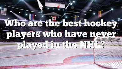 Who are the best hockey players who have never played in the NHL?