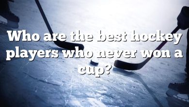 Who are the best hockey players who never won a cup?