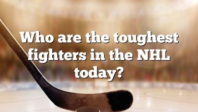 Who are the toughest fighters in the NHL today?