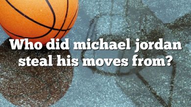 Who did michael jordan steal his moves from?