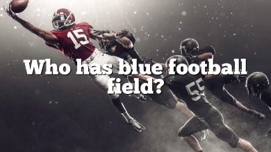 Who has blue football field?