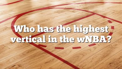 Who has the highest vertical in the wNBA?