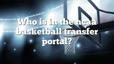 Who is in the ncaa basketball transfer portal?
