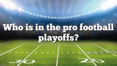 Who is in the pro football playoffs?