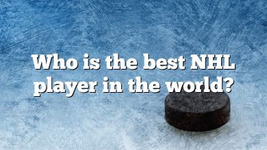Who is the best NHL player in the world?