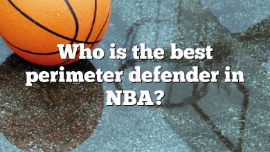 Who is the best perimeter defender in NBA?