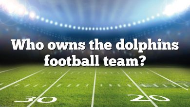 Who owns the dolphins football team?