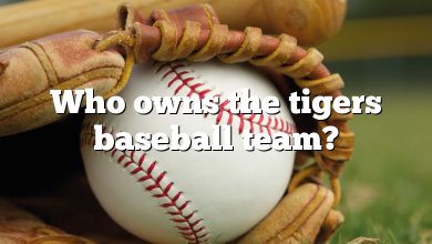 Who owns the tigers baseball team?