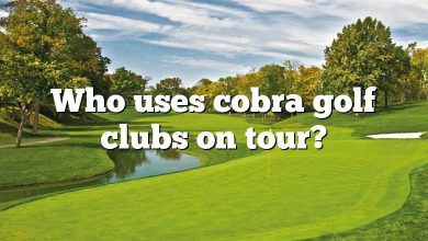 Who uses cobra golf clubs on tour?
