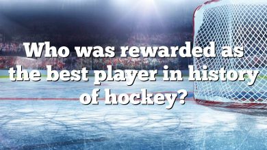 Who was rewarded as the best player in history of hockey?