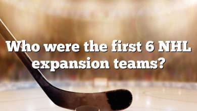 Who were the first 6 NHL expansion teams?