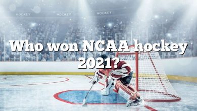 Who won NCAA hockey 2021?