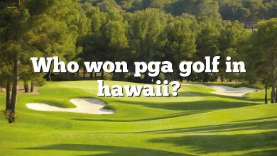 Who won pga golf in hawaii?