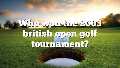 Who won the 2003 british open golf tournament?