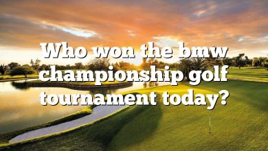 Who won the bmw championship golf tournament today?