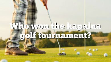 Who won the kapalua golf tournament?