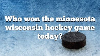 Who won the minnesota wisconsin hockey game today?
