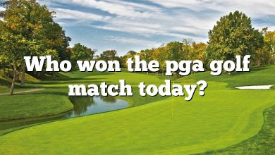Who won the pga golf match today?
