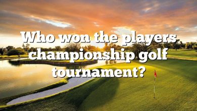 Who won the players championship golf tournament?