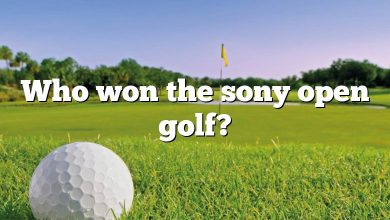 Who won the sony open golf?