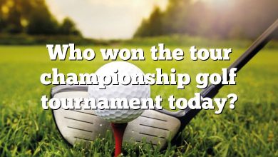 Who won the tour championship golf tournament today?