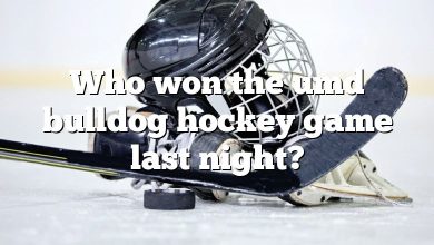 Who won the umd bulldog hockey game last night?