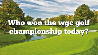 Who won the wgc golf championship today?