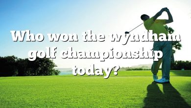 Who won the wyndham golf championship today?