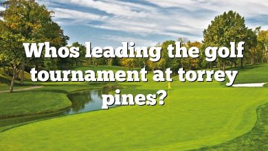 Whos leading the golf tournament at torrey pines?
