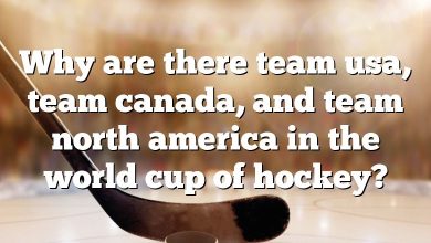 Why are there team usa, team canada, and team north america in the world cup of hockey?