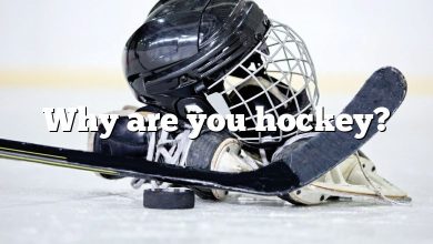 Why are you hockey?