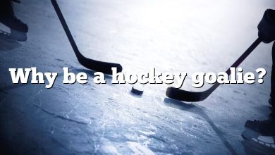Why be a hockey goalie?