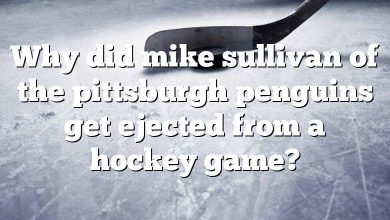 Why did mike sullivan of the pittsburgh penguins get ejected from a hockey game?