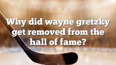 Why did wayne gretzky get removed from the hall of fame?