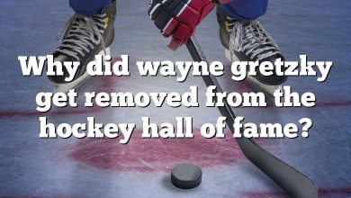 Why did wayne gretzky get removed from the hockey hall of fame?
