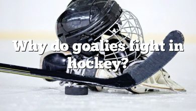 Why do goalies fight in hockey?