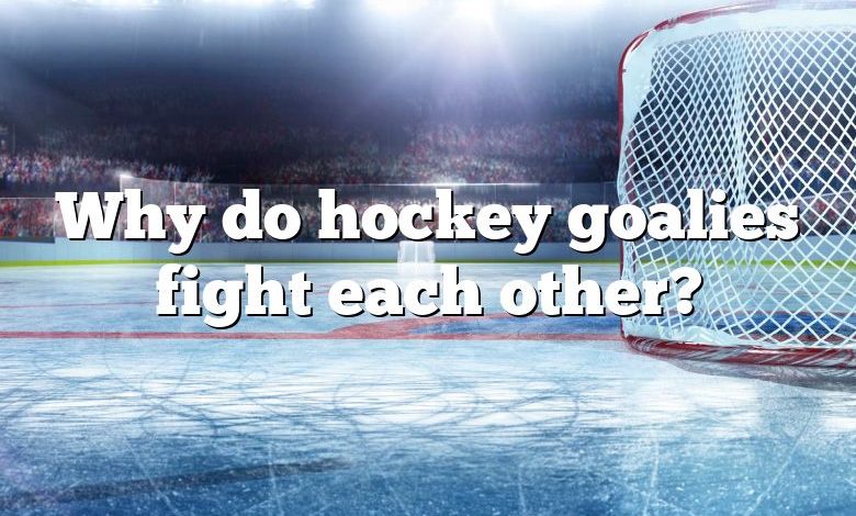 Why do hockey goalies fight each other?
