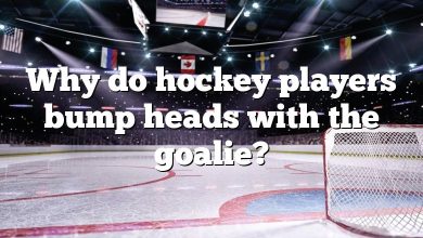 Why do hockey players bump heads with the goalie?