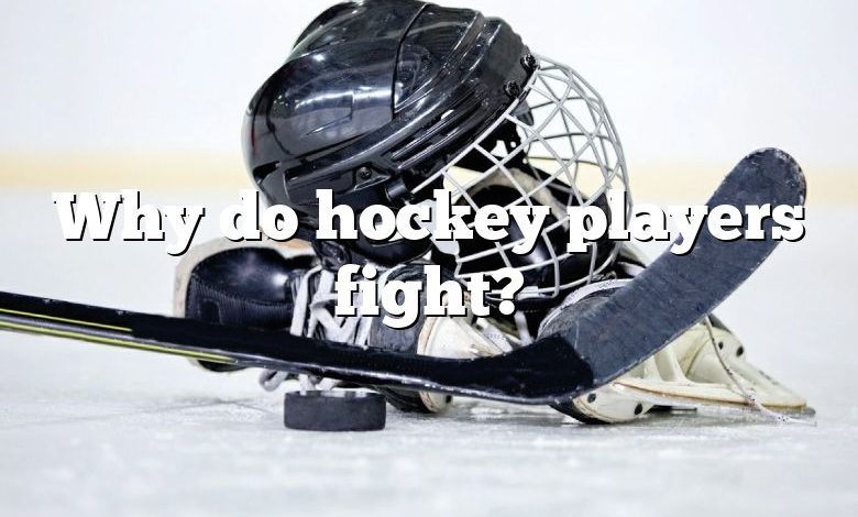 Why do hockey players fight?