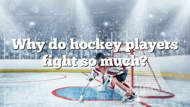 Why do hockey players fight so much?