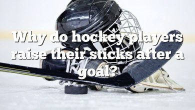 Why do hockey players raise their sticks after a goal?