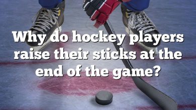Why do hockey players raise their sticks at the end of the game?
