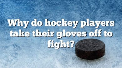 Why do hockey players take their gloves off to fight?