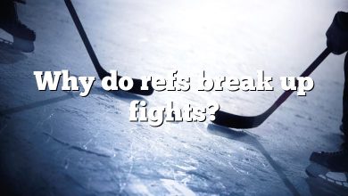 Why do refs break up fights?